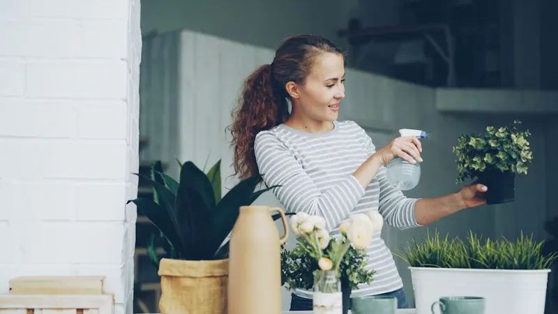 Smiling young woman is spraying green plants with water using spray bottle standing near table in modern loft style apartment. Youth, interior and household concept.